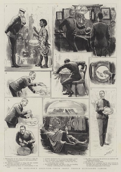 Les poissons rouges de M. Goslynge, leur courte carrière scintillante - Joseph Nash